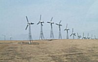 Windmills stretch across a rolling hill.