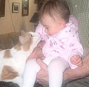 Steinbeck the Cat discovers a baby.