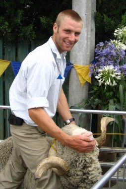 Sheep shearing in Middlemarch New Zealand